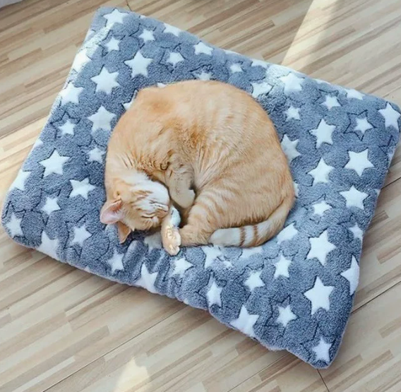 Shredded Chopped Foam Pet Bed